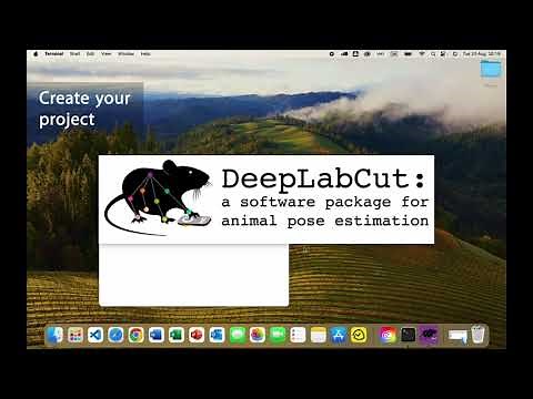 DeepLabCut 3.0 🔥 - Using PyTorch in the GUI!