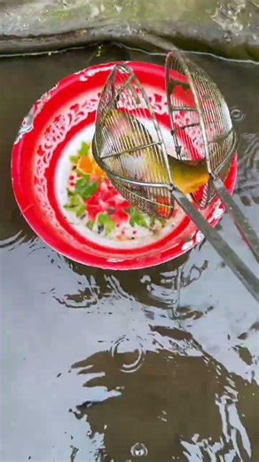 Innovative Multi-functional Fish Trap - Catch More Fish, Easier