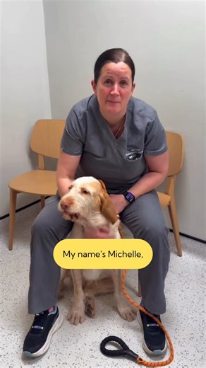 This #PetDentalHealthMonth we asked Michelle, our Lead Nurse at Hello Vet London Fields, to share some tips to help you care for your pet’s dental health at home: 👅 Get your pet used to having their mouth touched 🍗 Use a tasty toothpaste they love 🪥 Find tools they feel comfortable with 🧩Turn it into a game and give lots of praise 🩺 Get professional help if it’s too difficult for them Get in touch if you need our help or pop by our clinics to grab your free dental care pack 💛 | Hello Vet