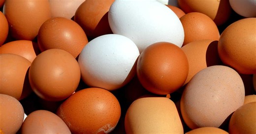 Beige, blanc, rose... Savez-vous pourquoi les coquilles des œufs sont de différentes couleurs ?