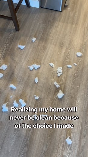 Hudson 笠 on Instagram: "All worth it tho. The best choice I’ve made  #goldendoodle #goldendoodlesofinstagram #dogsofinstagram #doodlesofinstagram #puppy #doodle #goldendoodlepuppy #dog #puppylove #puppiesofinstagram #dogs #doodlesoftheworld #minigoldendoodle #goldendoodles #doodles #doodletales #goldenretriever #doodlelove #goldendoodlelove #doglife #goldendoodlesofinsta #dogstagram #dogoftheday #f #puppies #puppylife #goldendoodlesofig #doodlepuppy #labradoodle #daily"