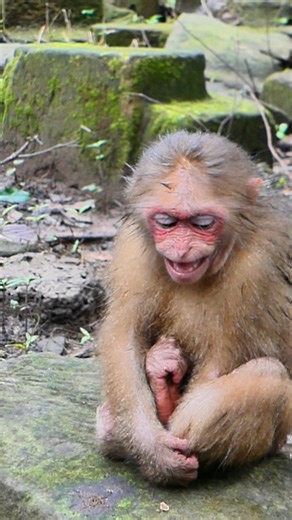 His eyes show both fear and longing for love | Alien TV