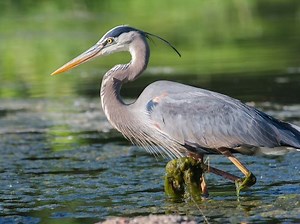 Free Smithsonian Center, Train Museum Tours Offered In MD