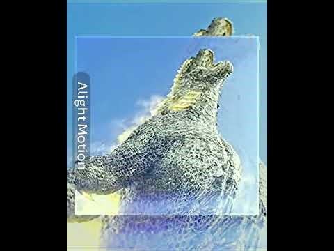 Evolved Godzilla But Different Colors | 4K