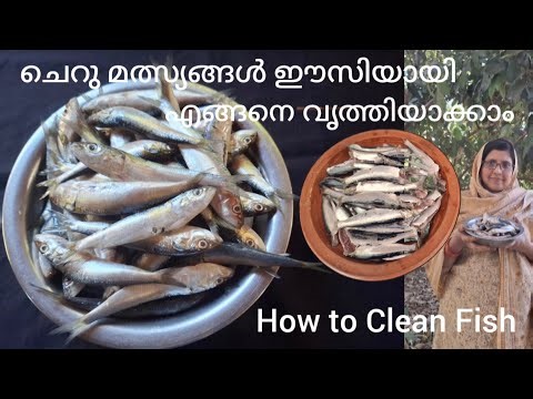 How to clean small fish easily / How to clean fish / How to clean herring