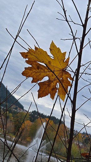 Lights at Lafarge – Upcoming Event  Date & Time: Friday,...