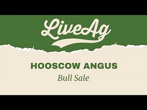 Watch the HoosCow Angus Bull Sale
