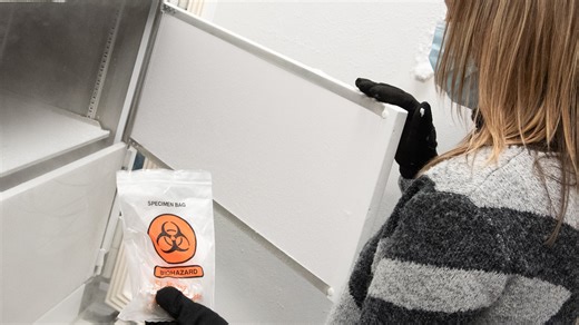 How gut bacteria could make cancer immunotherapy more effective