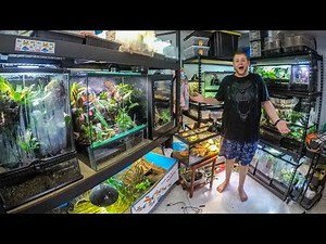 Reptile room tour July 2019!