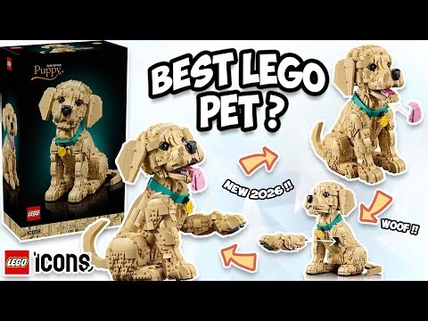 Did LEGO Finally Beat the Tuxedo Cat with THIS Golden Retriever Puppy ? New 2026 !!
