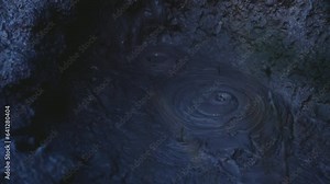 Mud bubbles in geothermal pool, Rotorua, New Zealand