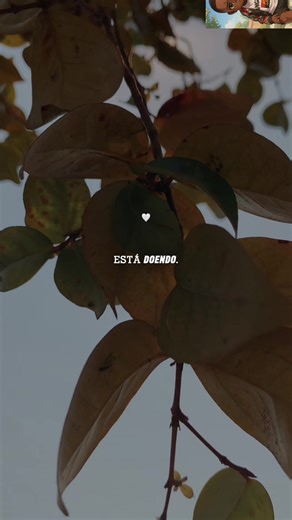 Deus é tudo ✊🏾🤧