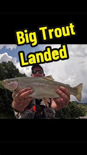 Big Rainbow Trout Caught While Fly Fishing