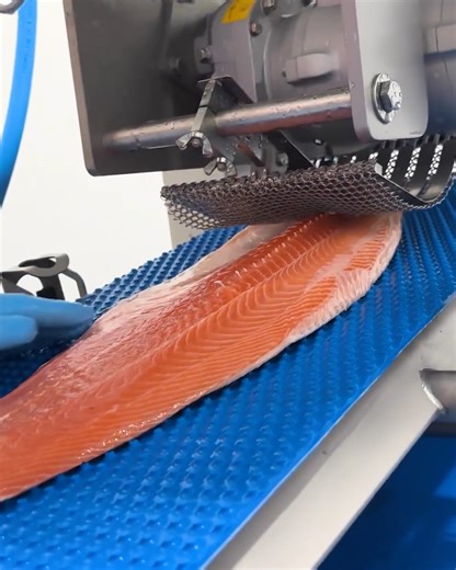 6.1M views · 4.6K reactions | Salmon deboning machine in action  | Lilyon | Facebook
