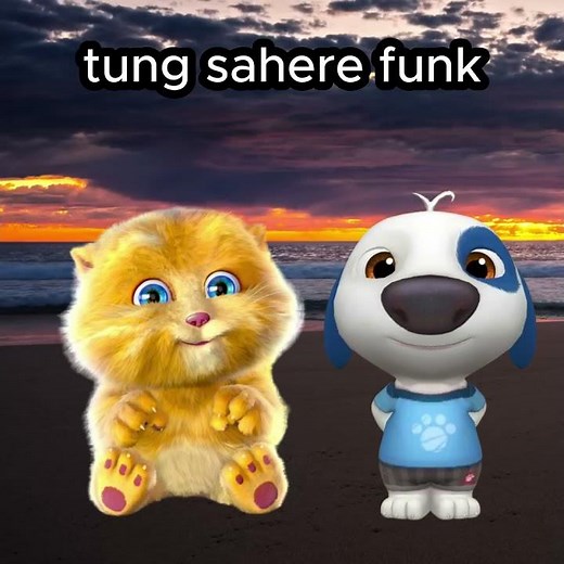 tung sahere funk #memes #shorts #funny #goofyahh