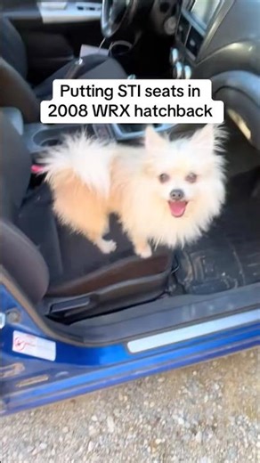 STI seats in 2008 WRX hatchback! Steering wheel too. #subaru #wrx #hatchback #sti #wrxsti