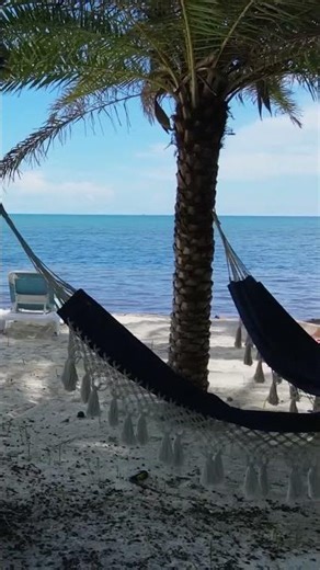 This Florida House makes $400,000 A YEAR!