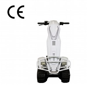 [Hot Item] Electric Terrain Tracked Vehicle off-Road Vehicle Powerful Snowmobile Utility ATV/UTV Etv Tank