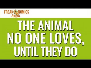 624. The Animal No One Loves, Until They Do | Freakonomics Radio
