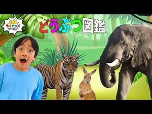 【まとめ動画】 いろいろな動物の生態を知ろう🐒楽しい教育 | こども向け | 知育アニメ