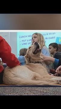 Meet Tootsie, Evergreen Elementary’s new resource K-9