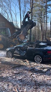 98K views · 1.8K reactions | Phase 2. Tree removal | Lee Nelson | Facebook