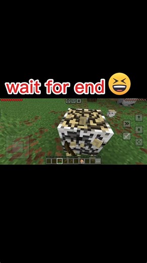 I Went to Get Wood... Found an OBSERVER TNT Trap 💥| Minecraft #minecraft #shorts