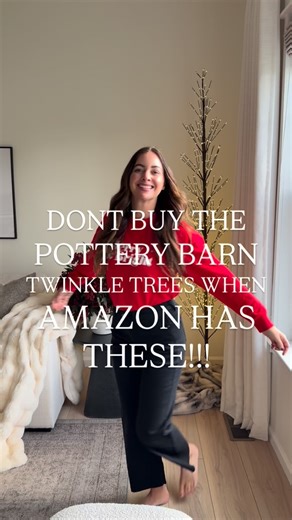 Follow Comment “TWINKLE” for these Pottery Barn look for less twinkle twig trees 🌲 Perfect for an indoor/outdoor cozy glow ✨ If it twinkles, I’m buying it. No questions asked. 💁🏻‍♀️ | Havrillahome