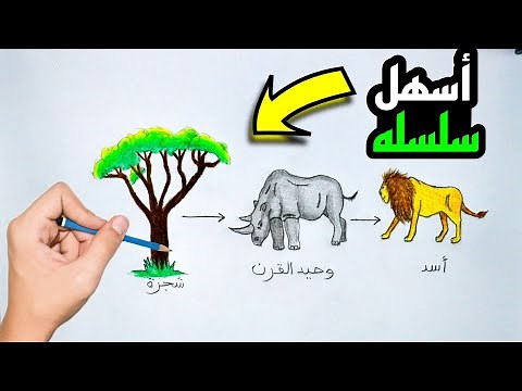رسم سلسله غذائيه | رسم سلسلة غذائية بسيطة للاطفال