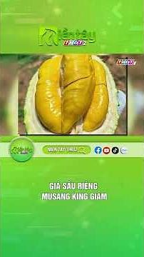 Giá sầu riêng Musang King giảm #saurieng #giamgia #musangking