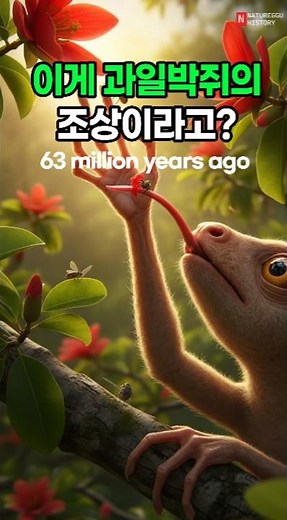 이게 과일박쥐의 조상이라고 /