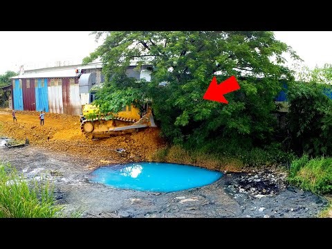 Extreme Tree Removal Using Heavy Machinery | Clearing Tough Dirty Land!