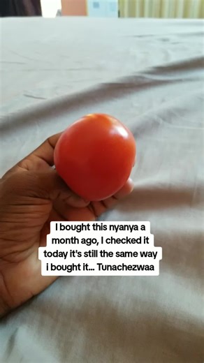Unchanging Tomato Quality: The GMO Debate