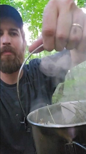 Making a pain relieving and anti inflammatory tea from willow bark