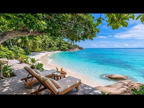 Escape to a Quiet Tropical Beach 🌊🌴 Relaxing Ocean Waves & Birdsong for Stress Relief and Calm