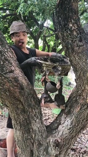 The live broadcast room is also popular and Feiniu flew there during the New Year’s Day holiday.