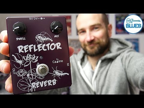 Caline Reflector Reverb Pedal Review - The Wettest Reverb Ever?
