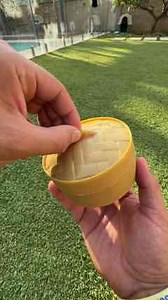 Satisfying Bunny Pop: Garden Burst