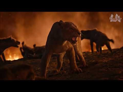 Lions Vs Hyenas The Lion King 2019