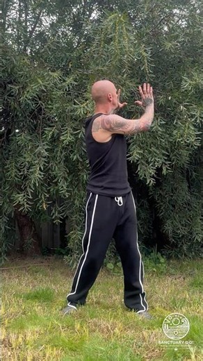Owl Gazing Backward | A Qi Gong Practice For Perspective & Presence