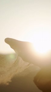 🌟✨ Grateful for an Amazing 2023! 🌏🌿 As we reflect on 2023, it's more than just trips booked; it's about capturing memories, planting seeds of change, and exploring the beauty of 64 incredible countries. 🌍💚 Thank you for making it the best year yet! 🙌🌟 https://theculturetrip.com/europe/united-kingdom/england/london/articles/culture-trips-big-return-in-2023/?utm_source=facebook&utm_medium=social&utm_content=feed | Culture Trip