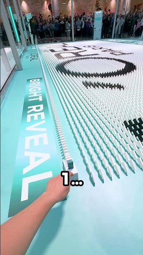 20,000 dominoes to set a GUINNESS WORLD RECORDS™ title! (pt. 4)
