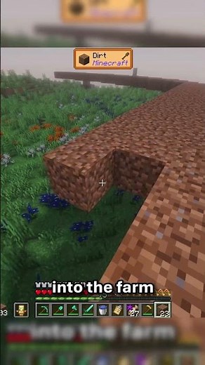 Stardew Valley in Minecraft!