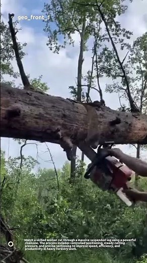 Extreme Chainsaw Log Cutting – Precision Forestry Work That’s So Satisfying 🌲🔥