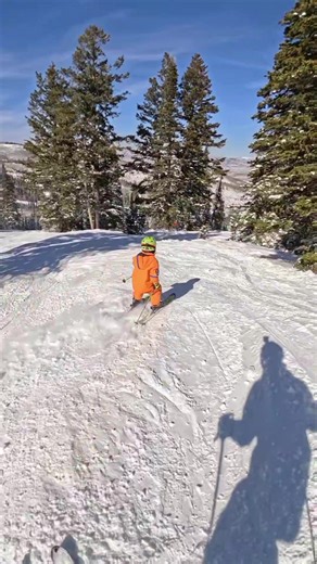 Skiing the Moguls at Deer Valley Resort: A Beginner's Guide
