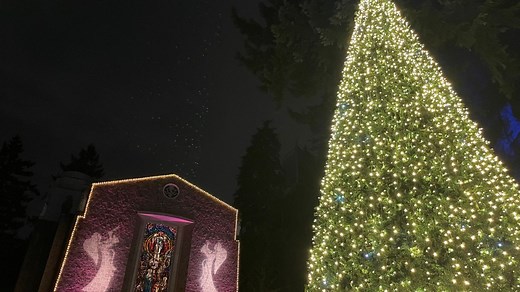 The Grotto opens its Festival of Lights: Celebrating Christmas with music, lights, and joy