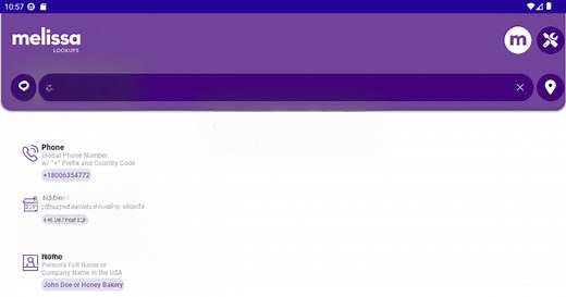 Download and run Melissa Lookups on PC & Mac (Emulator)