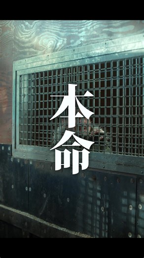 馬の恋愛事情を描いたショートフィルム