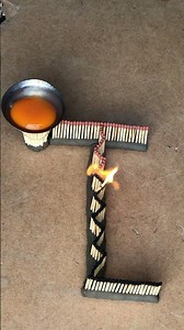 Very Easy Made Soft boiled eggs #experiment video