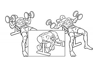 【ベンチプレスの補助筋トレ】挙上重量向上に効果の高い3つのダンベル種目
